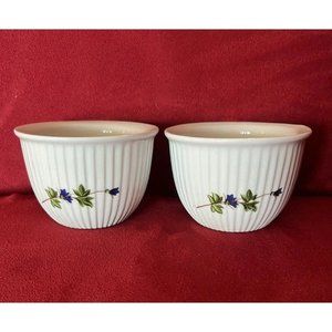 Vintage Frieda Collection BIA Cordon Bleu Ramekins Custard Cups Ribbed Floral